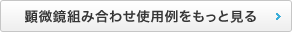 顕微鏡組み合わせ使用例をもっと見る